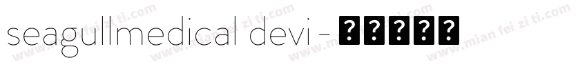 seagullmedical devi字体转换